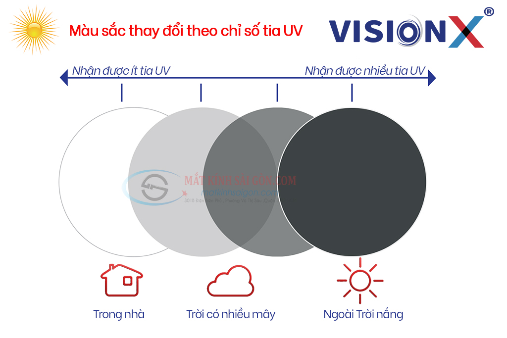 TRÒNG KÍNH 1.60 ĐỔI MÀU VISION X AS SUN PROTECT - Hình 3